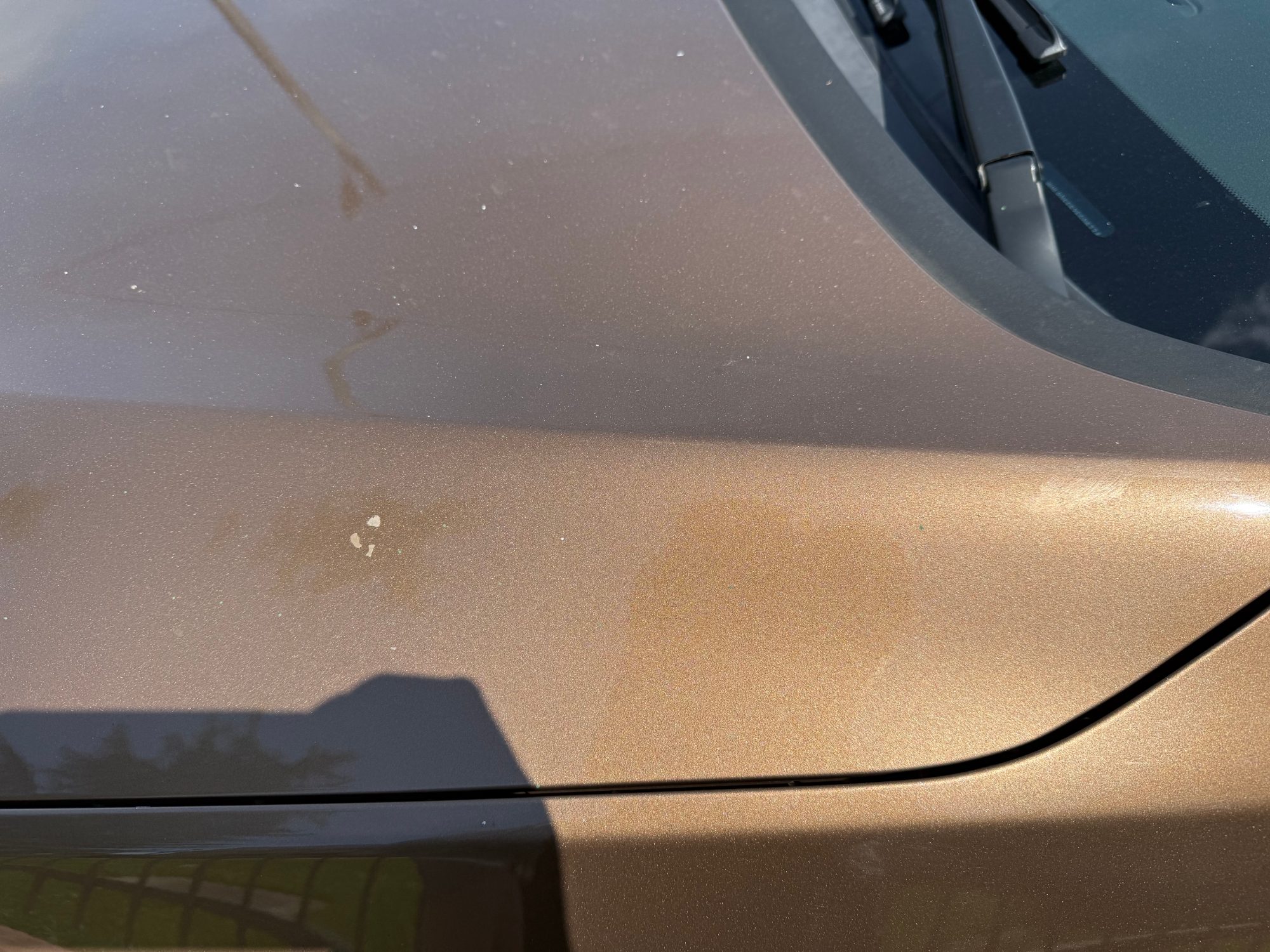 Opel Astra 2014 - 5